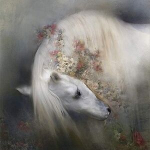 ALL ITEMS $5-7 STARTS 🥰